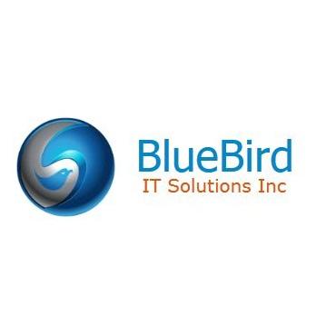 Bluebird IT Solutions